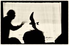 'Shearwater' in performance at the Bird Observatory on Fair Isle 'Shearwater' in performance at the Bird Observatory on Fair Isle